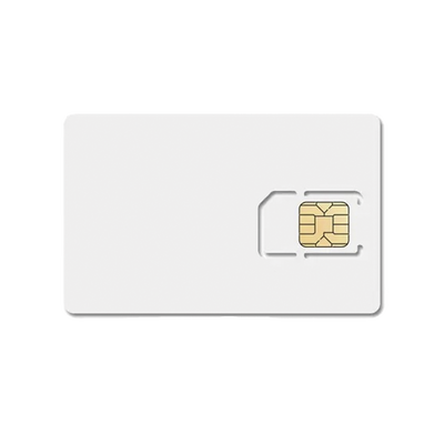 LINKSFIELD SIM600MB1Y