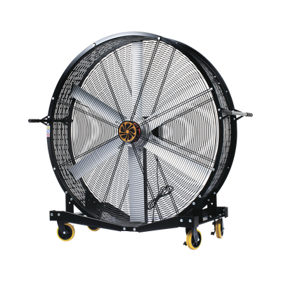 BIG FANS XM20