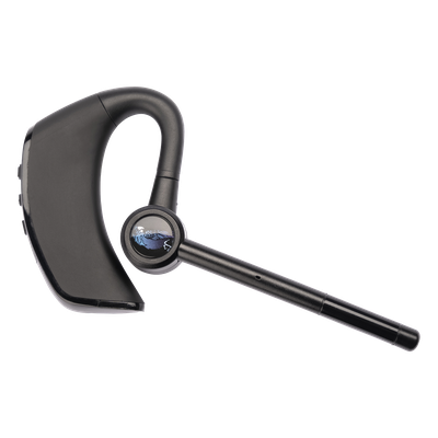 BLUEPARROTT M300-XT