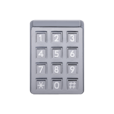 DKS DOORKING 1895-032