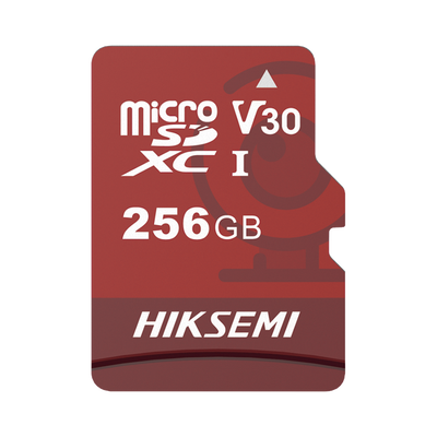 HIKSEMI by HIKVISION HS-TF-E1/256G