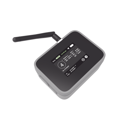 RAKWIRELESS RAK10701P