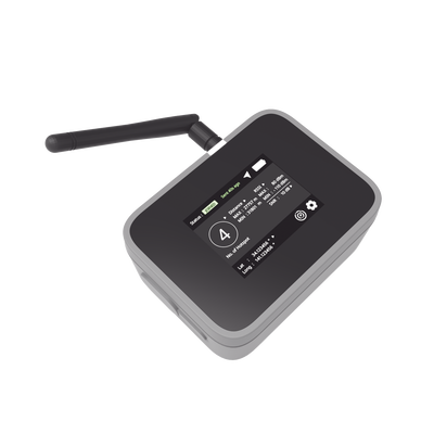 RAKWIRELESS RAK10701P