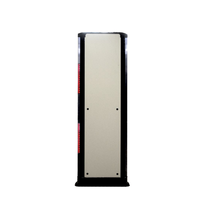 RANGER SECURITY DETECTORS INTELL-WALL