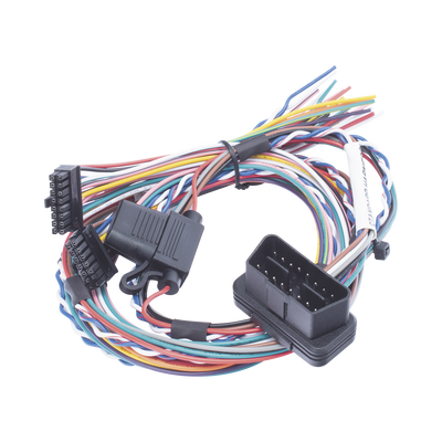 RUPTELA ARNESOBDLCV5