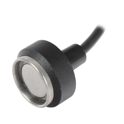 RUPTELA LECTORIBUTTON