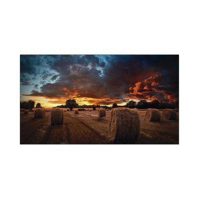 SAMSUNG ELECTRONICS VM46BU