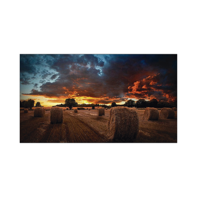 SAMSUNG ELECTRONICS VM46BU