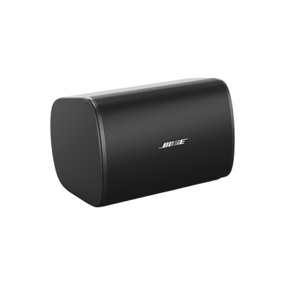 BOSE PROFESSIONAL DM5SE