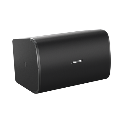 BOSE PROFESSIONAL DM10S-SUB
