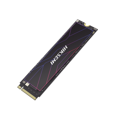 HIKSEMI by HIKVISION HS-SSD-FUTURE-LITE/1024G