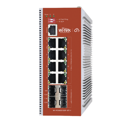 WI-TEK WI-PCMS312GF-BT-I