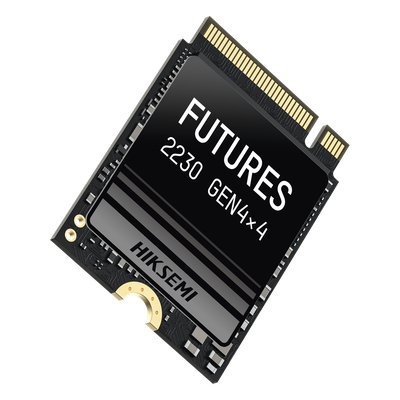 HIKSEMI by HIKVISION HS-SSD-FUTURES/2048