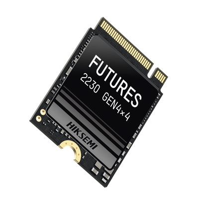 HIKSEMI by HIKVISION HS-SSD-FUTURES/2048