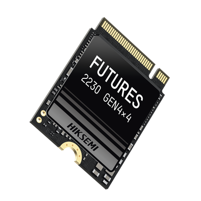 HIKSEMI by HIKVISION HS-SSD-FUTURES/2048