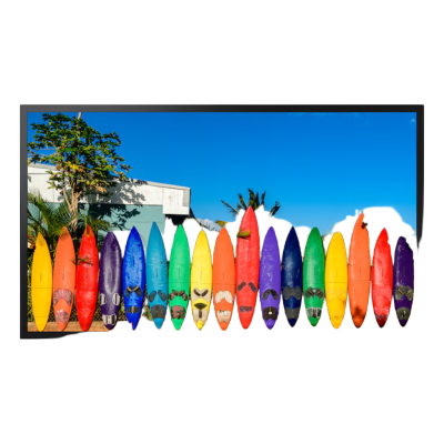 SAMSUNG ELECTRONICS OM46B