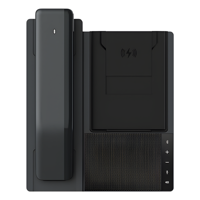 FANVIL DB20-H