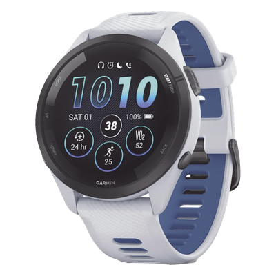 GARMIN 10-02810-01