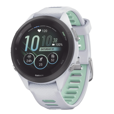 GARMIN 10-02810-04