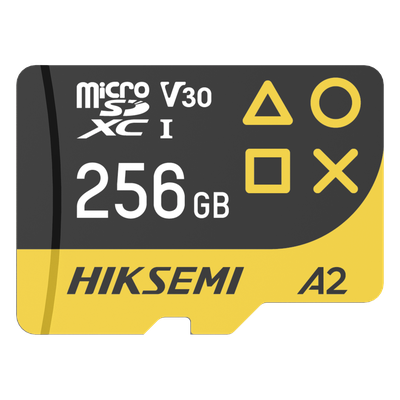 HIKSEMI by HIKVISION HS-TF-G3/256G