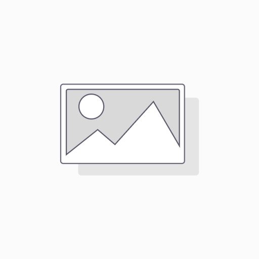 HOCHIKI FN-PS776
