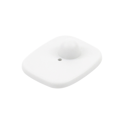 [T001/B] Century T001/B