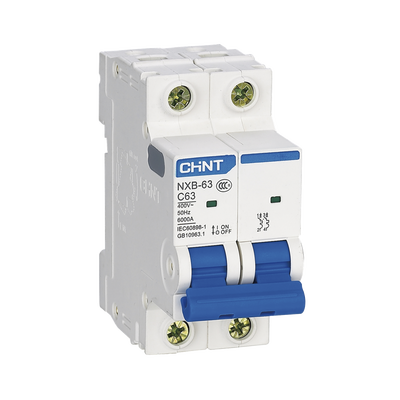 [NXB632PC10] CHINT NXB632PC10