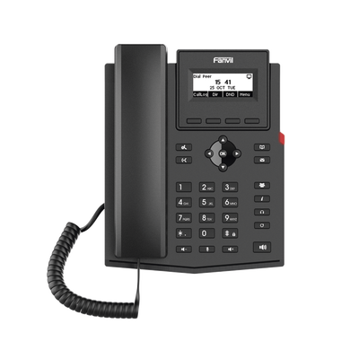 [X301P] FANVIL X301P