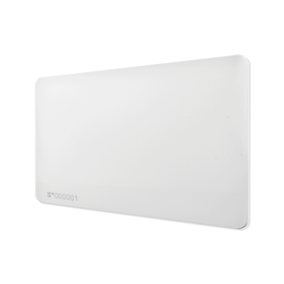 [9942343V2] NEDAP 9942343V2