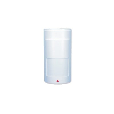 [PMD1P] PARADOX PMD1P