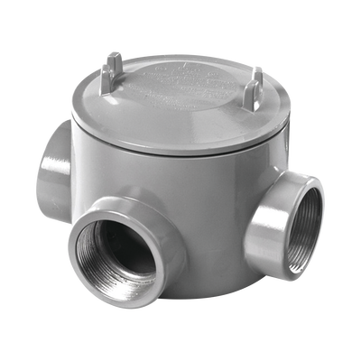 [GRT-0442] RAWELT GRT-0442