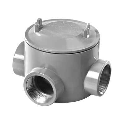 [GRT-0441] RAWELT GRT-0441