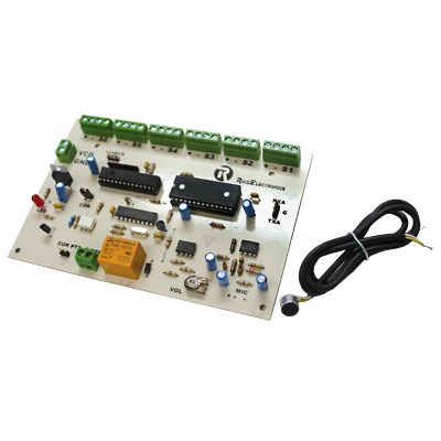[RRA06] Ruiz Electronics RRA06