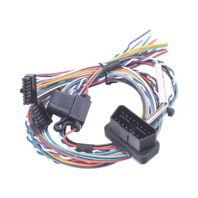 [ARNESOBDLCV5] RUPTELA ARNESOBDLCV5