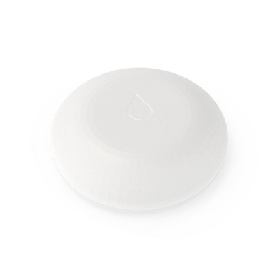 [SHELLYFLOOD] SHELLY SHELLYFLOOD