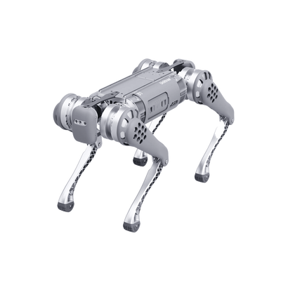 [B1ROBOT] UNITREE B1ROBOT