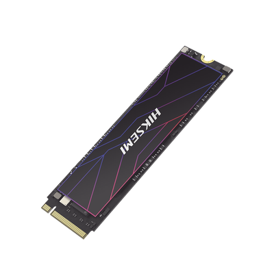 [HS-SSD-FUTURE-LITE/512G] HIKSEMI by HIKVISION HS-SSD-FUTURE-LITE/512G