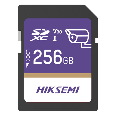 [HS-SD-P10/256G/GUARDPRO] HIKSEMI by HIKVISION HS-SD-P10/256G/GUARDPRO
